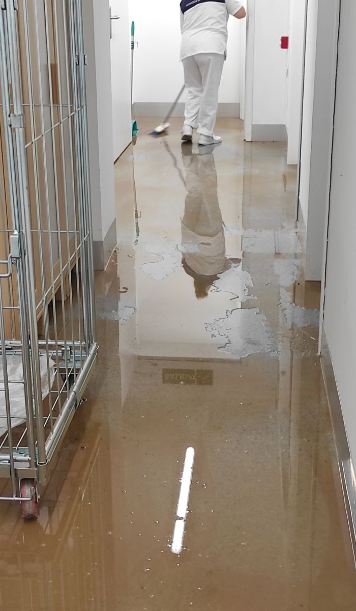 How Cleaning Services Enhance Your Office’s First Impressions